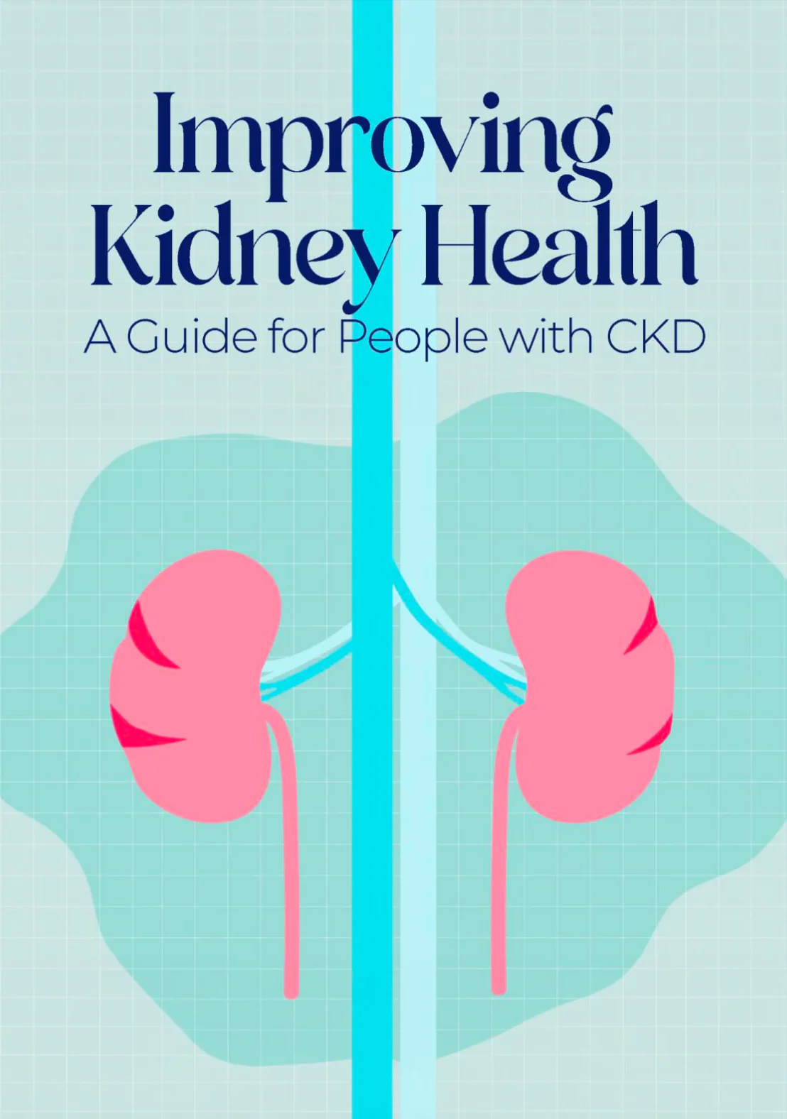 Improving Kidney Health: A Guide for People with CKD (Ebook)